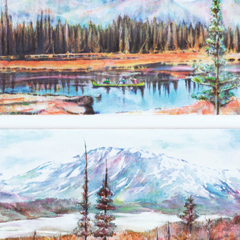 アナログフィッシュ