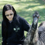 MERZBOW
